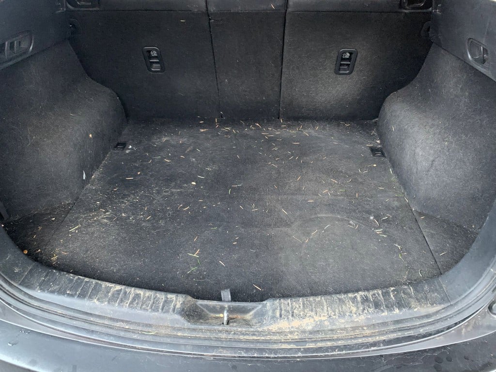 Boot with leaves and debris before an interior clean